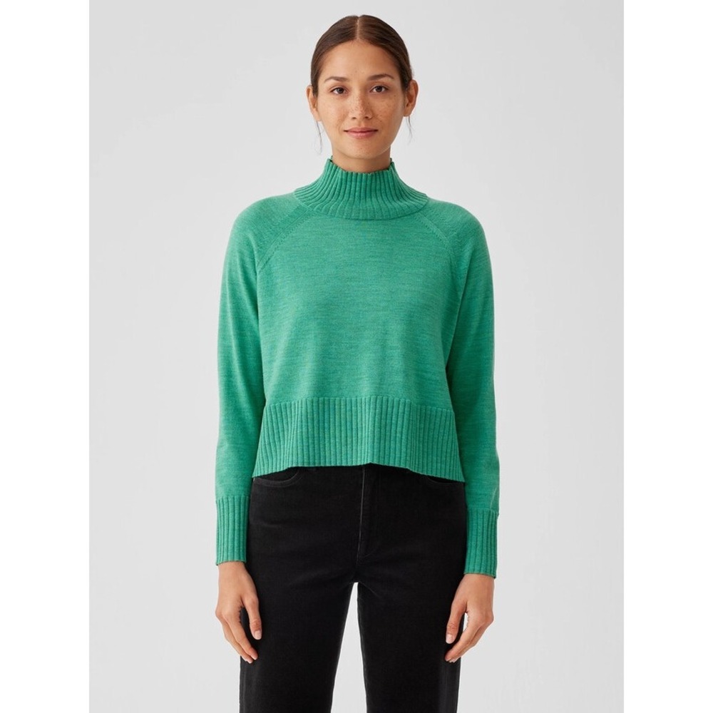 Eileen Fisher Extra Fine Merino Wool Jersey Turtleneck Sweater S/P Italian Yarn